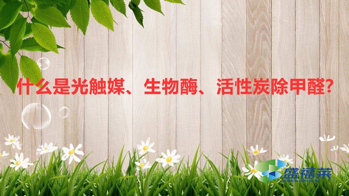 什么是光觸媒、生物酶、活性炭除甲醛?