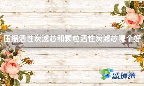 壓縮活性炭濾芯和顆粒活性炭濾芯哪個好 好在哪里？