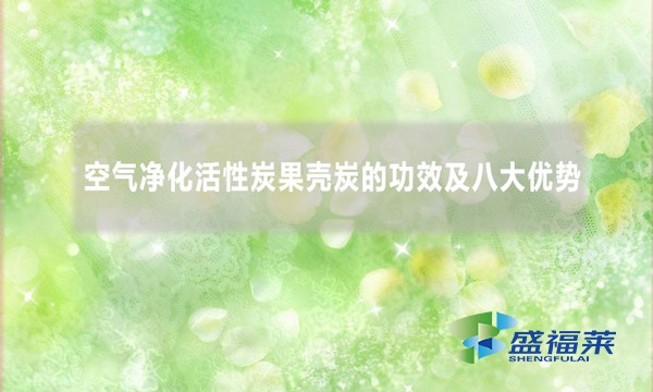空氣凈化活性炭果殼炭的功效及八大優勢