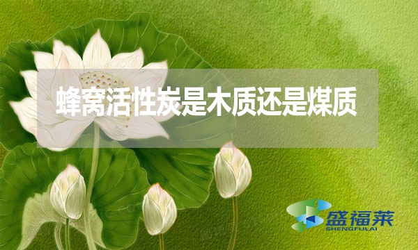 蜂窩活性炭是木質(zhì)還是煤質(zhì)？哪種好？